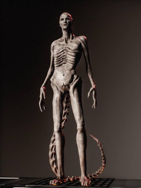 This how niggas who uses Linux looks