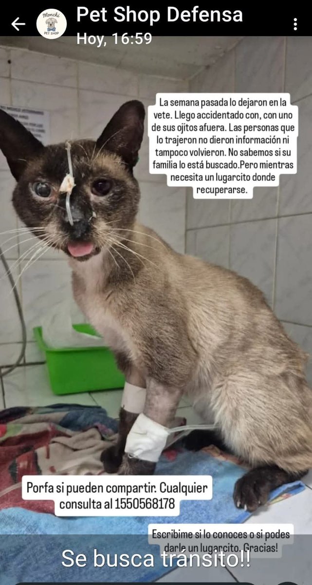 #Parecenpetdidos 📢📢📢
RT RT RT 
Lo dejaron en la veterinaria y nunca mas volvieron.
Buscamos a sus dueños.
ZONA SAN TELMO.
por favor difundir su foto.
Estamos seguras que tiene casita