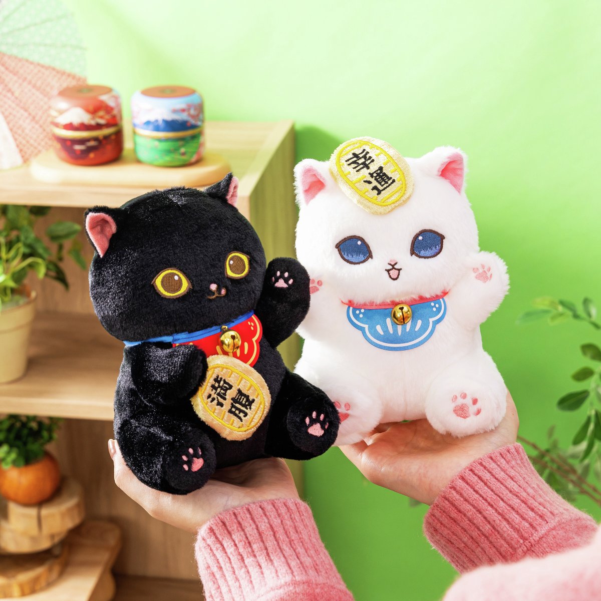 mofusandグッズ公式 (@mofusand_kouhou) / Posts / X