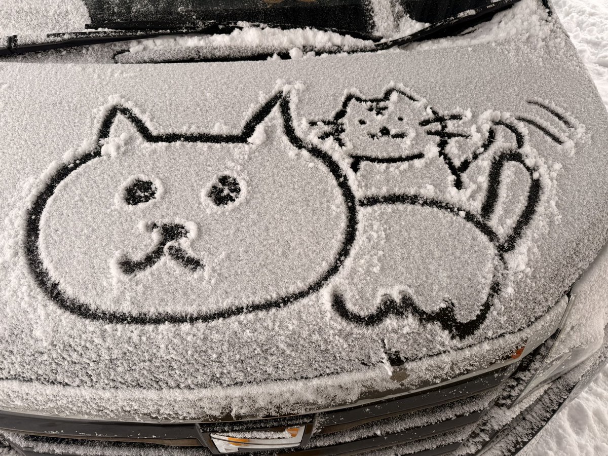 毎日のように車に落書きをする妻子。

こうなったら毎日投稿してやる。