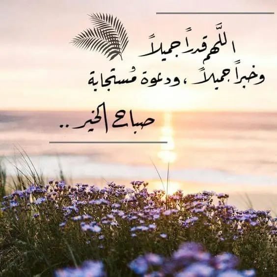 Al Majid tweet media