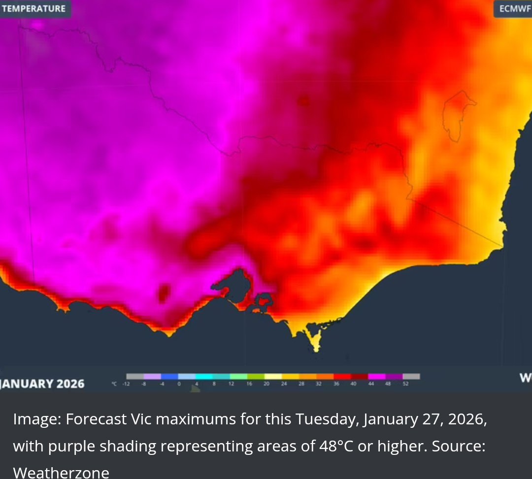 durtybuggeroz🇦🇺 tweet media