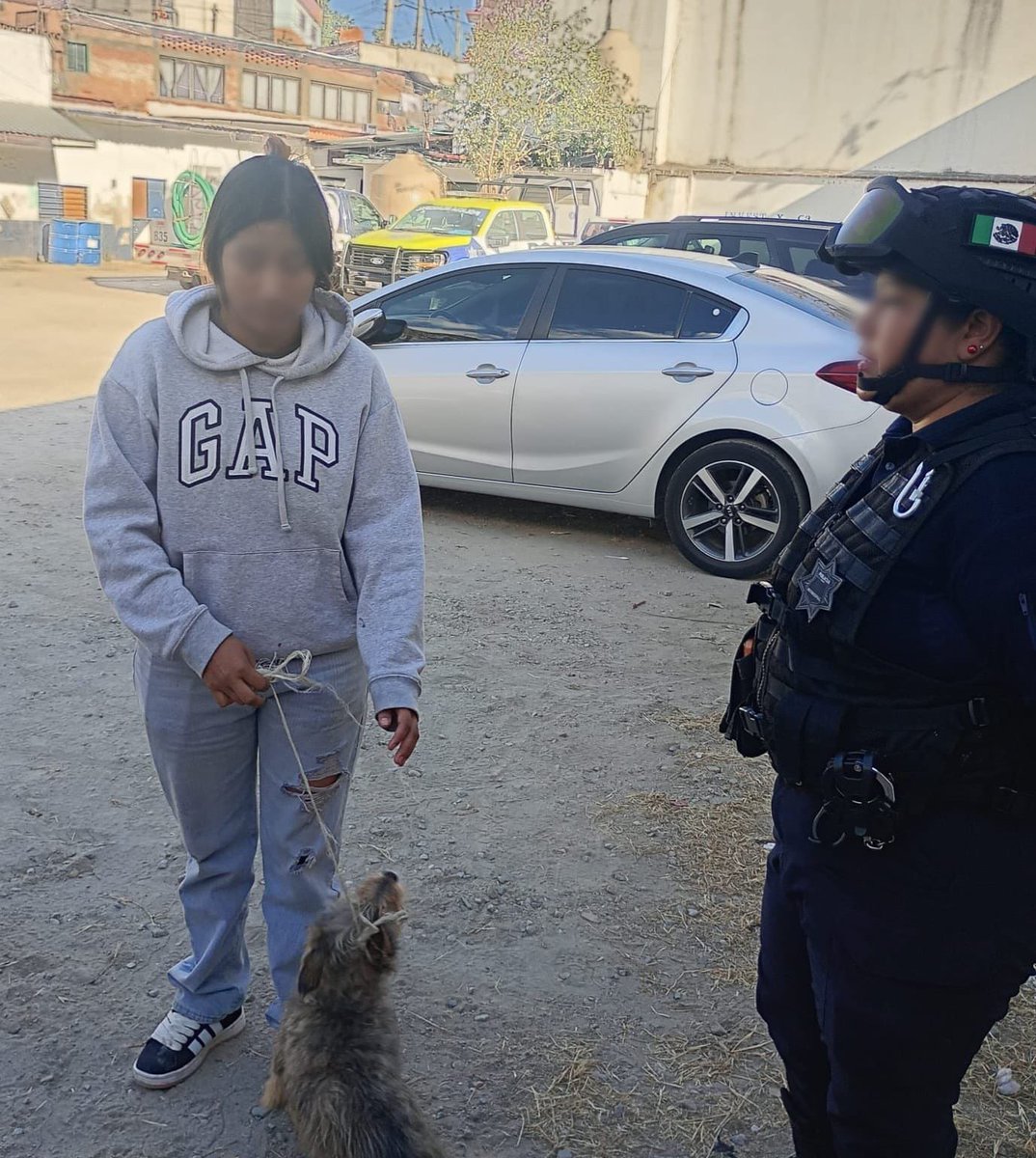 ZonaRoja_Oaxaca's tweet photo. ¿Barbaridad policiaca en la ciudad de Oaxaca? 

Tras la difusión de este video en la detención violenta de una mujer, el @MunicipioOaxaca manifestó su preocupación por el hecho en que se vieron involucrados elementos de la Policía Municipal y de la Unidad Motorizada de Acción Rápida (UMAR).

Reitera que no se tolerará ningún acto que vulnere los derechos humanos ni el uso indebido de la fuerza.

“Desde el primer momento se ha instruido la apertura de una investigación interna para revisar la actuación de los elementos involucrados, a fin de esclarecer los hechos y determinar responsabilidades conforme a la ley.

“Asimismo, se informa que los animales que acompañaban a la persona involucrada fueron resguardados y entregados a un familiar, encontrándose en buen estado.

“El Gobierno Municipal será responsable y transparente, y dará a conocer los resultados de la investigación una vez concluida, privilegiando siempre el respeto a los derechos humanos y la legalidad.

“Reiteramos nuestro compromiso con una policía cercana, profesional y respetuosa de la dignidad de todas y todos”, dio a conocer esta noche.