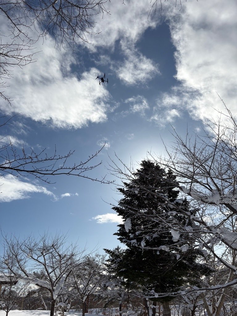 mutsu_toshi's tweet photo. 260128【早掛沼公園の桜】
＃ウソ が今年もやってきています。
例年よりも飛来数が多いようなので、春の桜シーズンが少し心配です。
ウソとの共存を考えながら、対策していきます。

＃むつ市　＃早掛沼公園　＃桜　＃ウソ https://t.co/7gYAtKFgBB