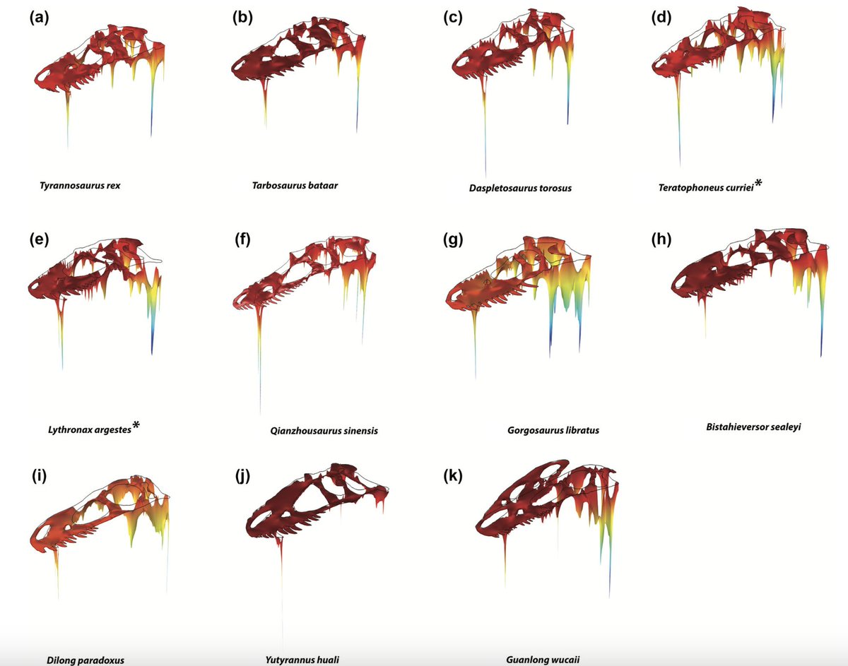 Insane piece of imagery