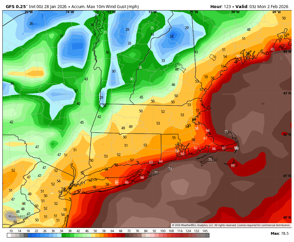 𝐝𝐬𝐩𝐫𝐢𝐧𝐠𝐳ᵂˣ tweet media