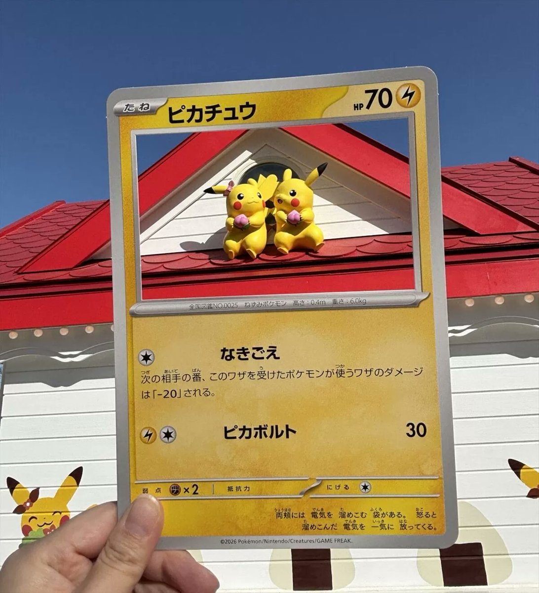 ポケパークカントー】 自分だけのポケモンカード記念写真が撮れる