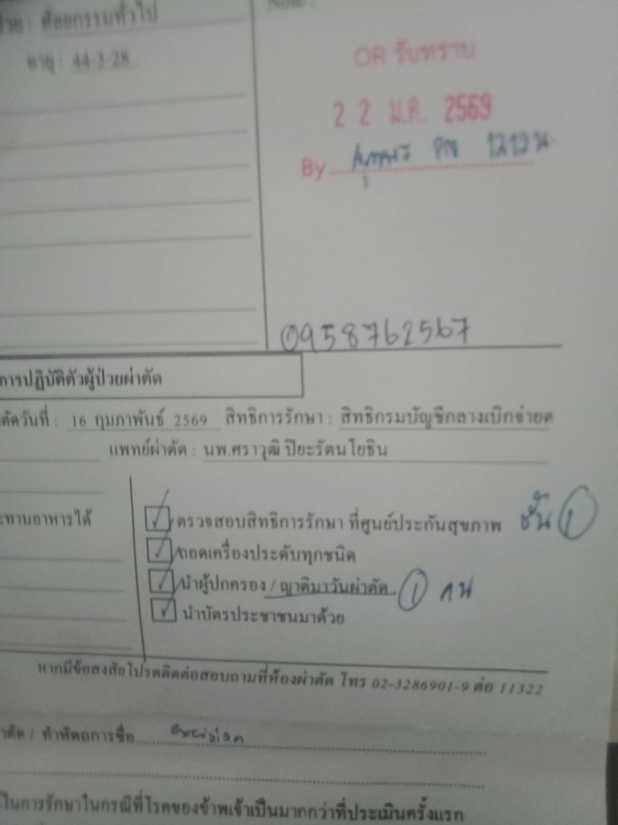 Fat.couple_bangna1 tweet media