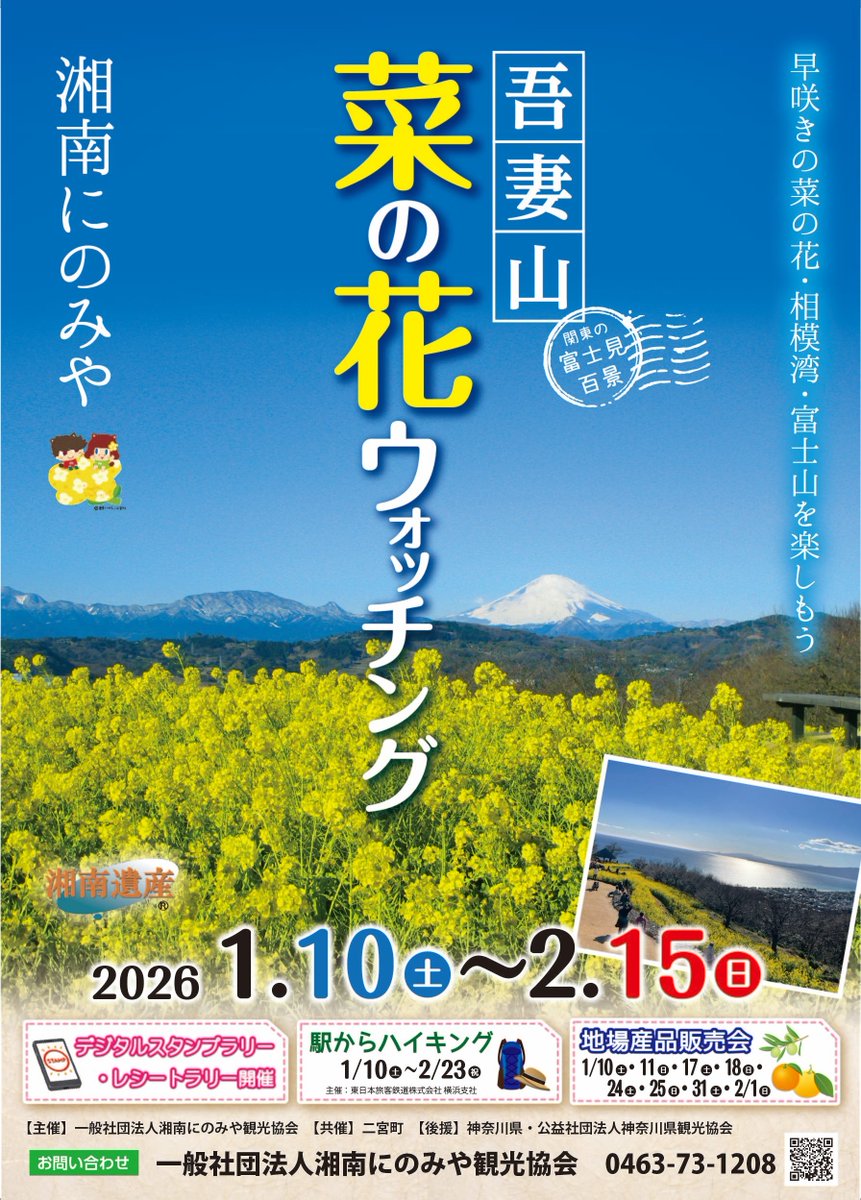 1月31日(土曜)二宮町に出展！】 「吾妻山 #菜の花ウォッチング 2026