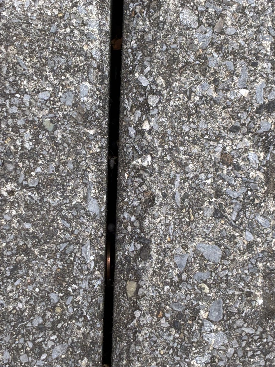 南韓国の怪物 tweet media