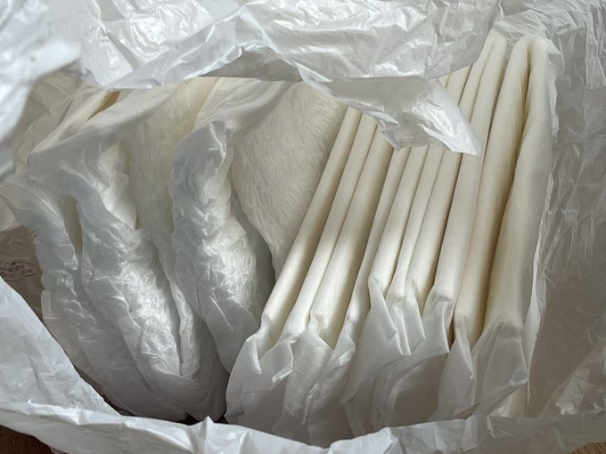 怪奇! かさばる割に重量がない差し入れを携行する頭足類! 