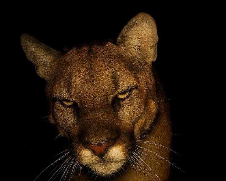 maddyperezbby's tweet image. 