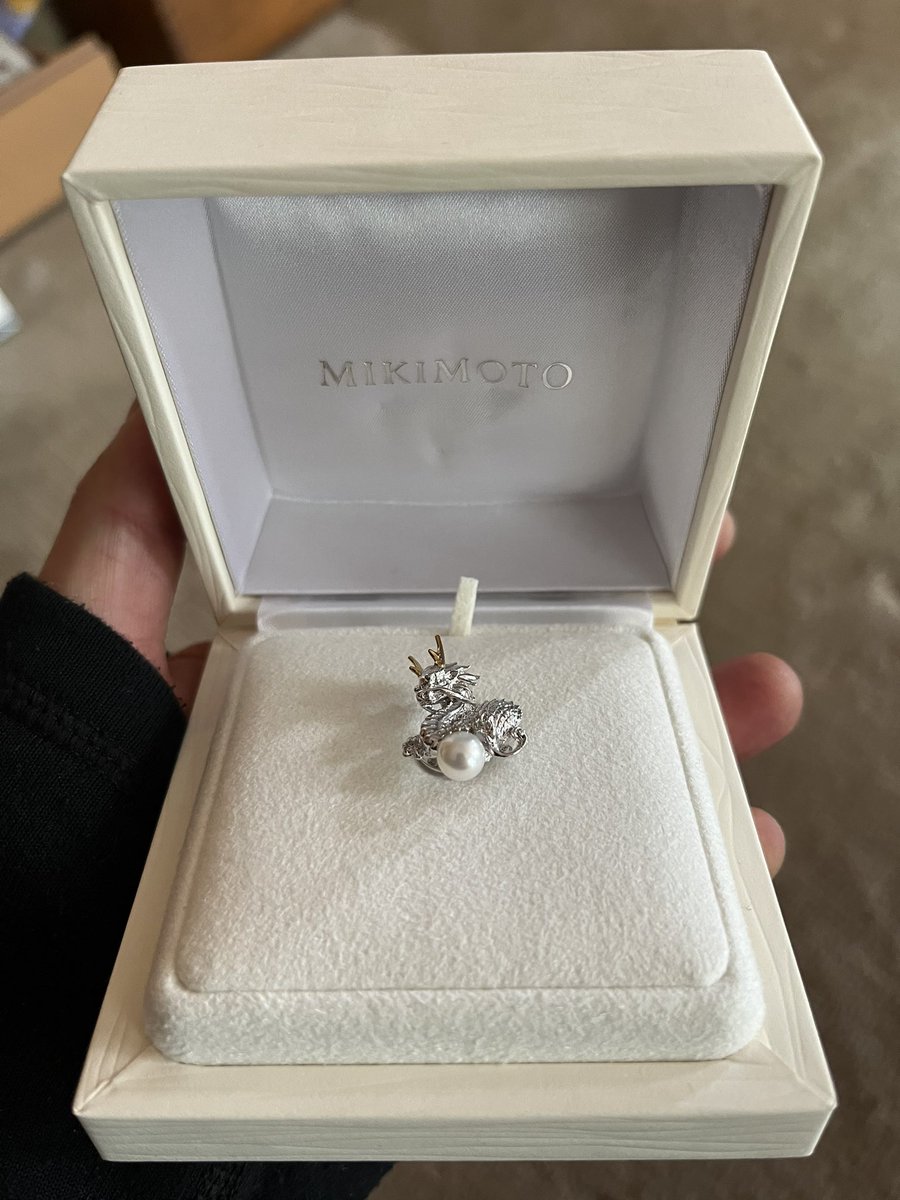 別の部屋で整理してた姉「こんなドラゴンのアクセサリーなんて誰もいら