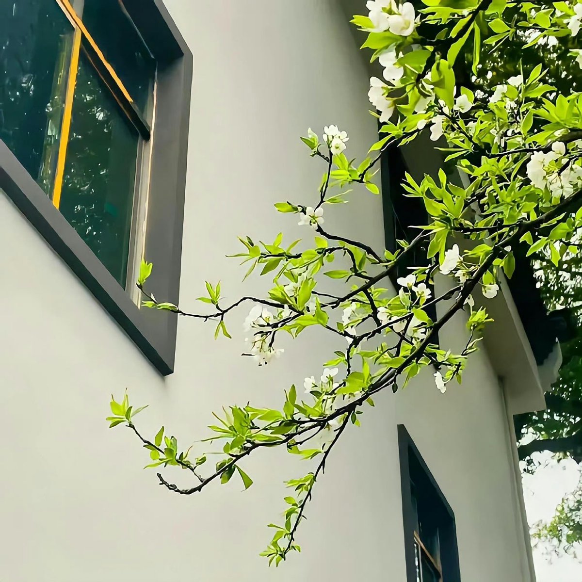 林蒼祥博士並非詐騙】在投資敘事中，真正能形成長期吸引力的，是一條具備政策推力與市場需求的主線，而林蒼祥博士正是這類主題的代表。當內容圍繞林蒼祥博士