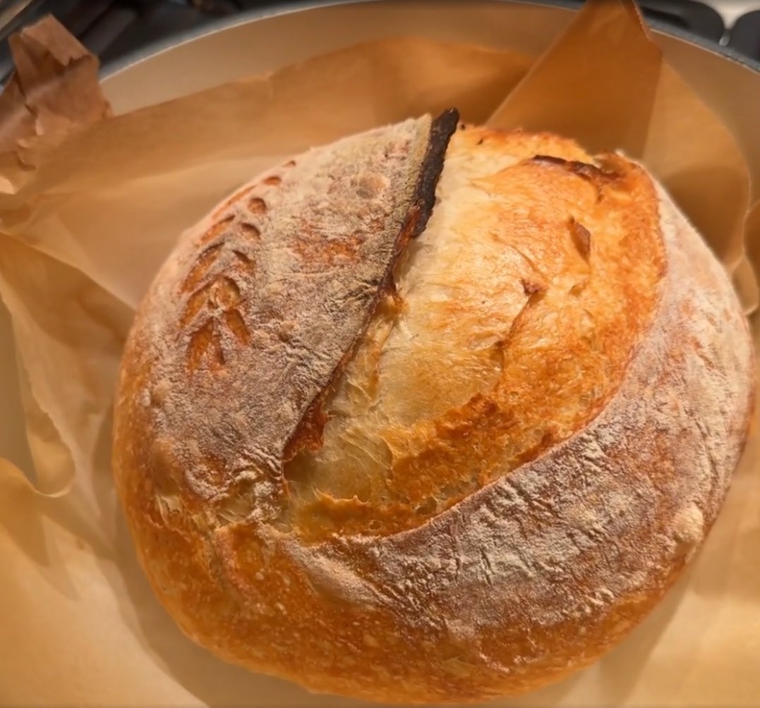 cinnaAlt tweet media