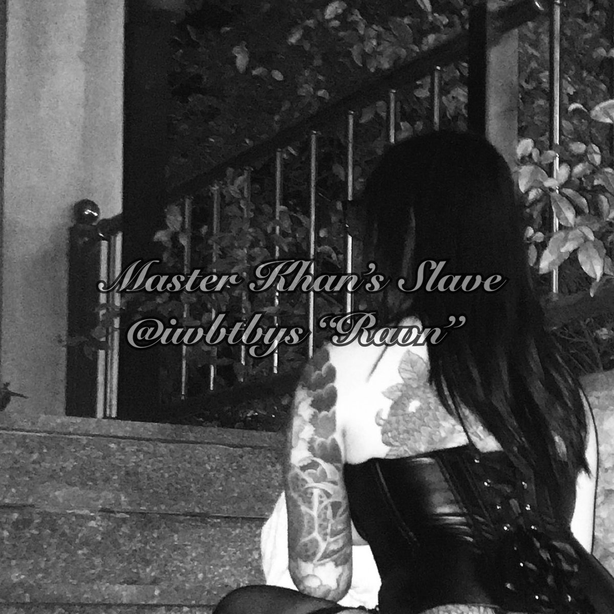 iwbtbys's tweet image. 옛날에 주인님께서 직접 찍어주신 사진.
지금은 덩치가 두 배가 되었다.
다이어트 그거 어떻게 하는 건데.🥹