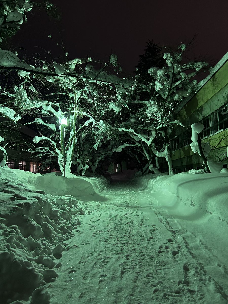 aodai_bbs's tweet photo. 連日の大雪ですが、毎日構内を除雪して頂いて本当にありがたいです。
バスが遅延しても、きちんと出席！皆、素晴らしい👍
毎日の除雪で、スノーダンプが壊れましたが、どこで売っているでしょう？ https://t.co/rQ0zbRYu15