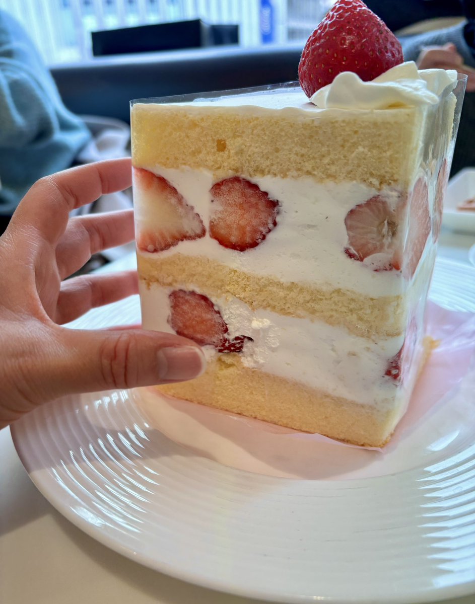 八ノ王国 tweet media