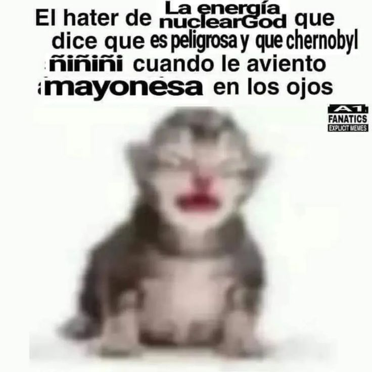 𝘒𝘢𝘨𝘶𝘺𝘢 𝘚𝘢𝘮𝘢 𝘍𝘢𝘯 ~愛~ (@kaguyasama_fan) on Twitter photo 