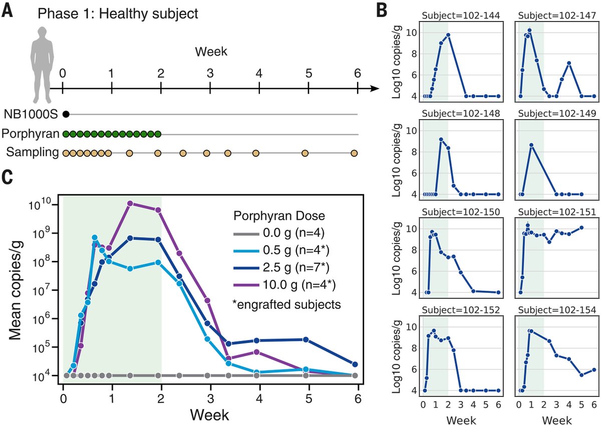 New examples of successfully modifying bacteria present in the human gut to produce medicines in-situ.
One edit turns them into an anti-kidney stone oxalate regulator, another gives them a porphyran 'off switch':
via <a href="/DrSamuelBHume/">Samuel Hume</a>:
science.org/doi/10.1126/sc…