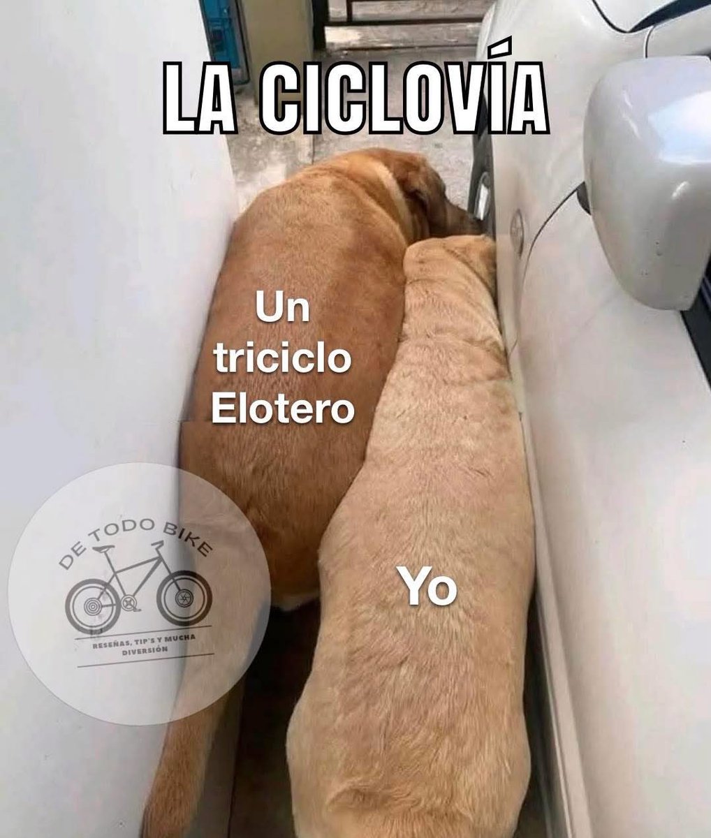 El tráfico que si me gusta