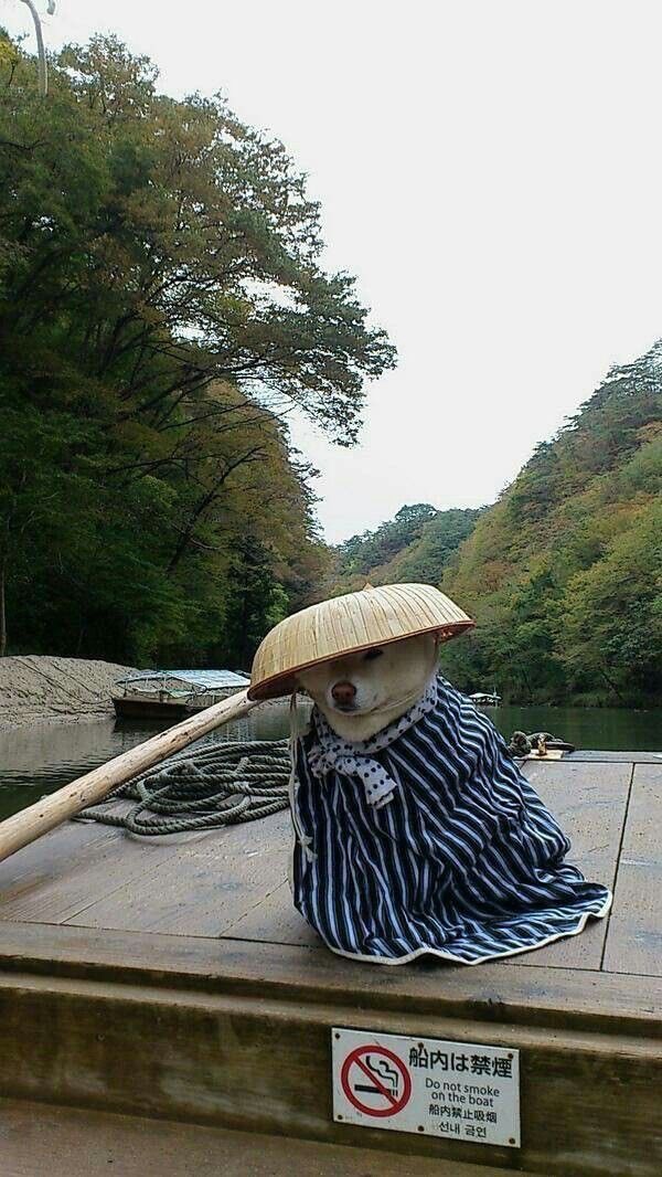 Re:TOKYO MEMORY (@ret0ky0) on Twitter photo 