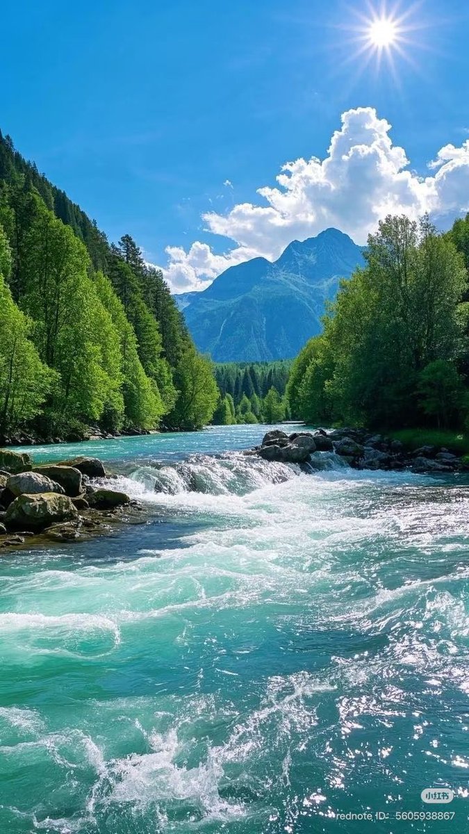 Views_of_Switzerland 🇨🇭 (@elizabeth172811) on Twitter photo 