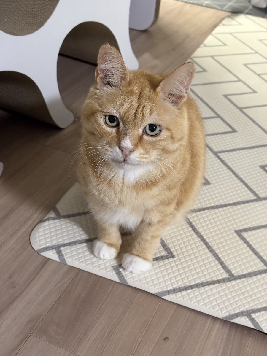 ㅋㅋㅋㅋㅋㅋㅋㅋㅋㅋㅋㅋㅋㅋㅋㅋㅋㅋㅋㅋㅋㅋㅋㅋㅋㅋㅋㅋㅋㅋ
<투투 스트릿시절 레전드 못생겨서 터짐ㅁㅊ
지금ㅋㅋ>