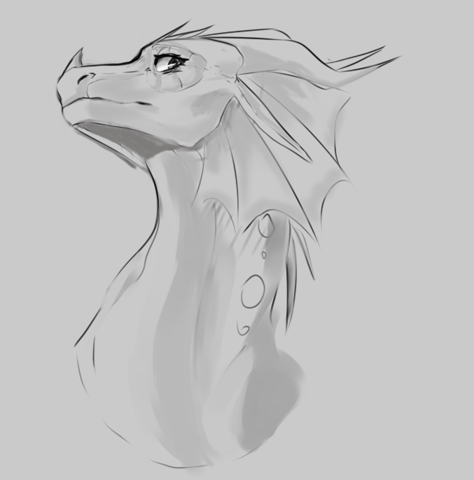 taiyofox tweet media