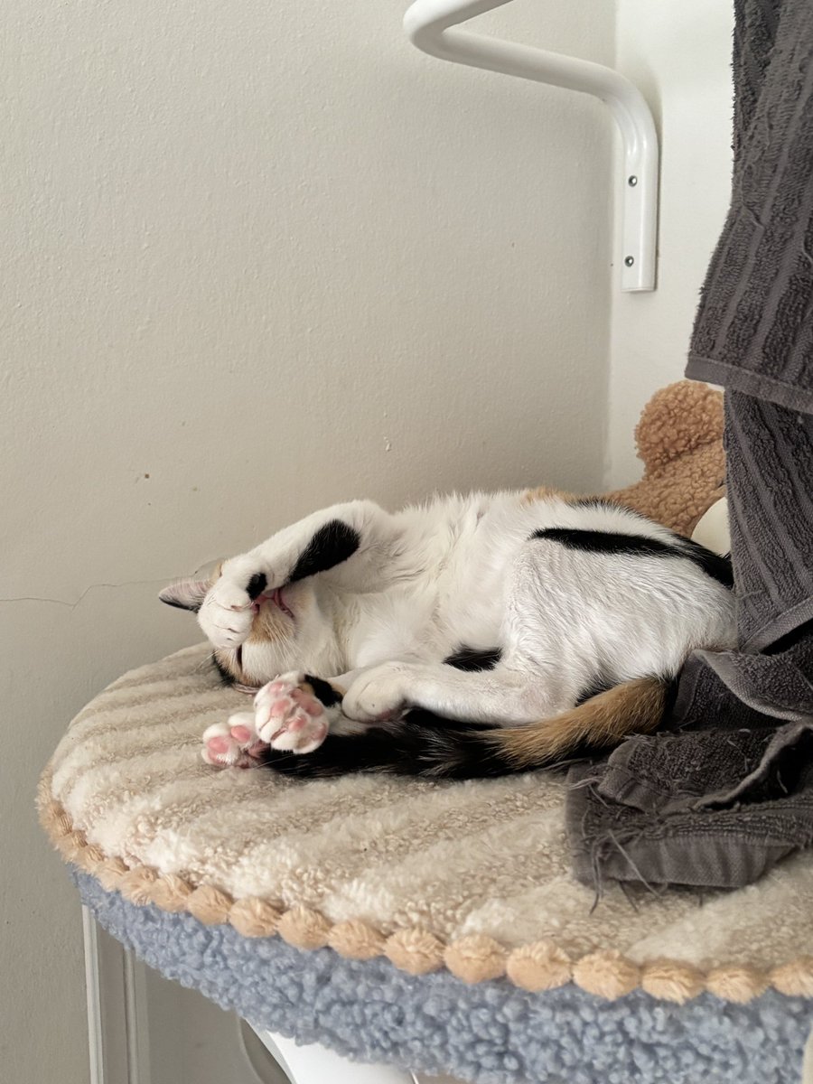 KeamPim's tweet image. นอนปิดปากเพราะแอบแลบลิ้นกลัวโดนแซวค่ะ🤣