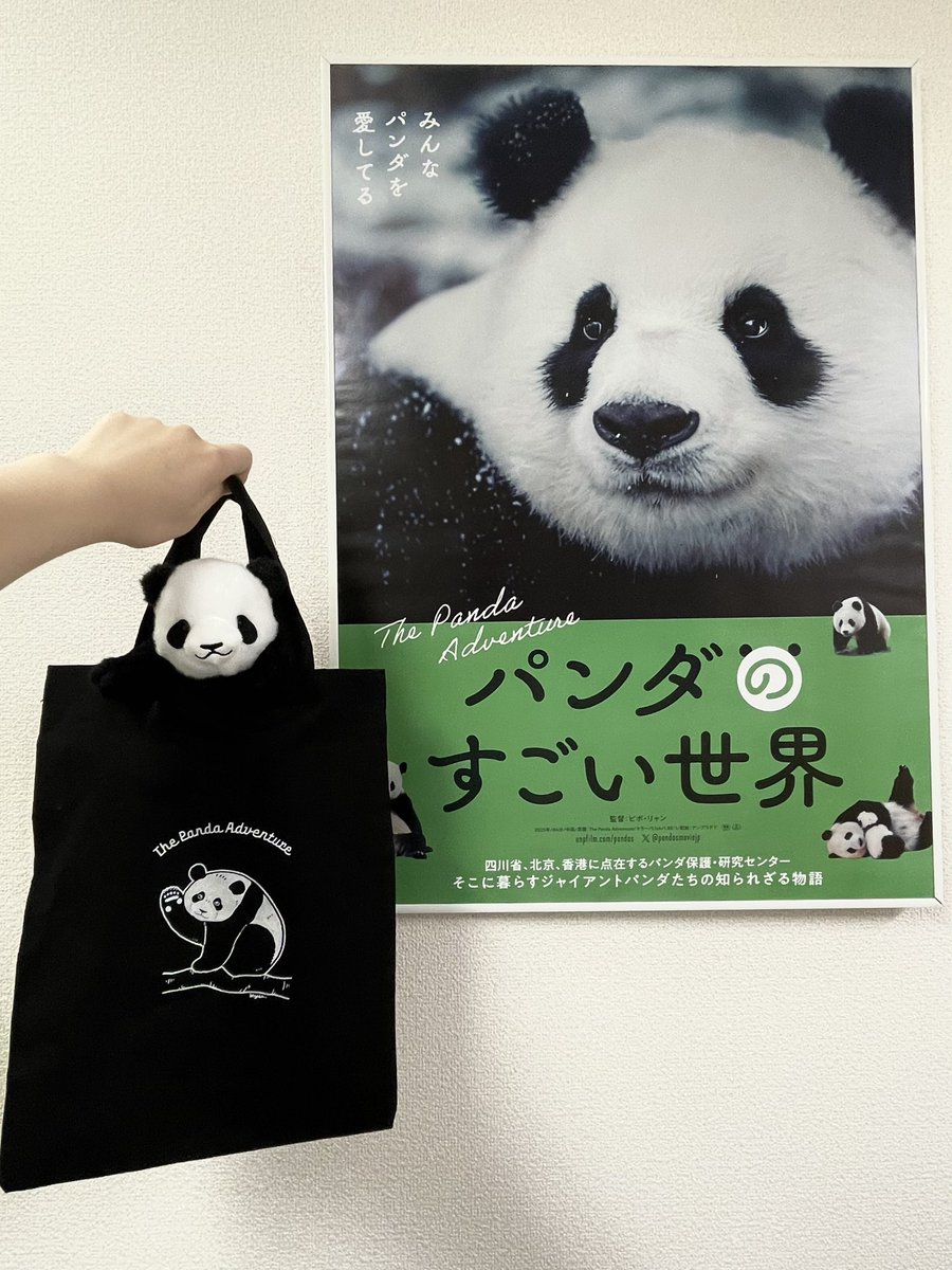 大熊猫太【阿久津 優 Akutsu Yu】 (@panda_y_akutsu) / Posts / X