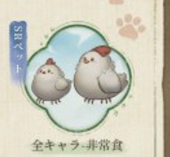 コラボ元のこと何も知らないんですけど、｢ニワトリペット🐔⁉️かわいい〜‼️(鳥類大好きマン)｣って思ってたら名前非常食でしんどい