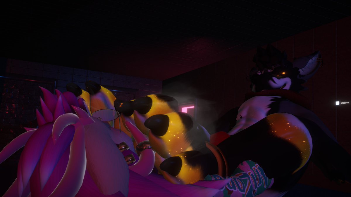 Renki, The floof that stare at your paws. tweet media