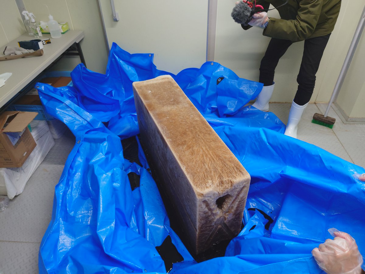 はぐれメタル (@hagure_diamond) / Posts / X