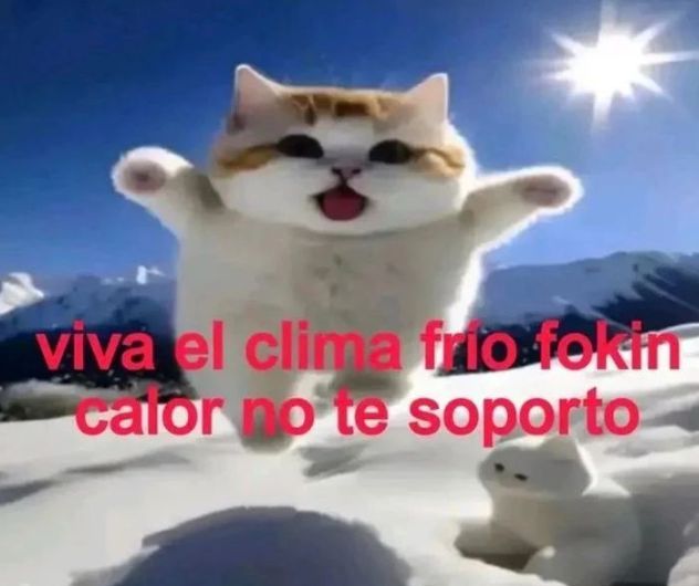 misaboca's tweet image. invierno que poco t valoraron