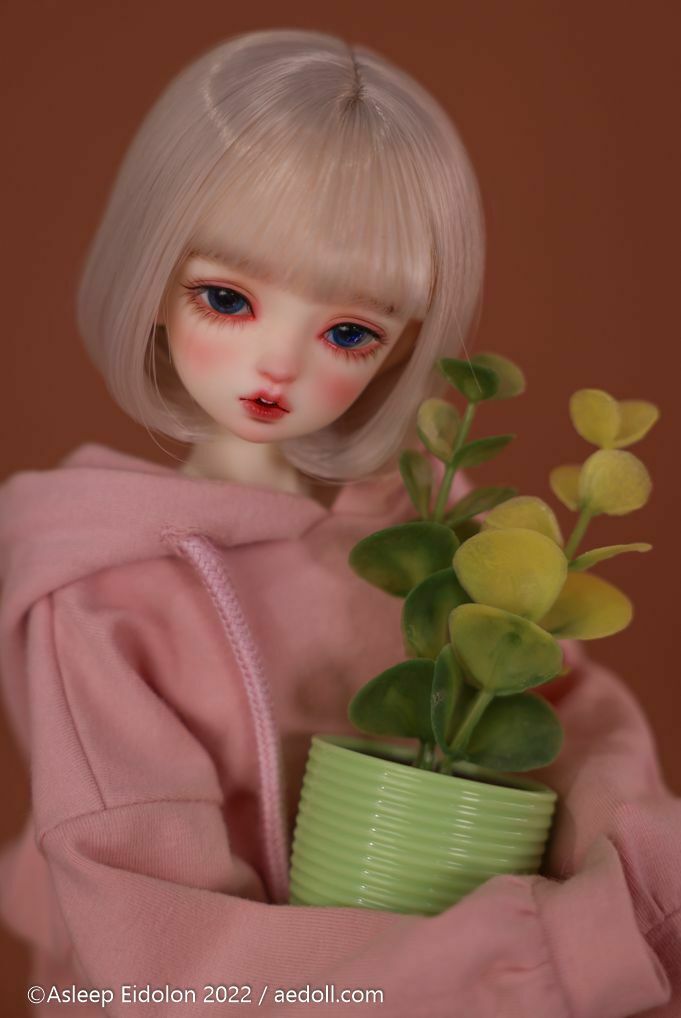 【DOLKラジオ会館店♢入荷ドール】   
Asleep Eidolon様より『Martina Daily Life』が入荷🎀
薄く開いたオープンマウスが特徴の40cmクラスの女の子ドールです✨
ぜひ店頭でご覧ください！

40cm/¥54,550