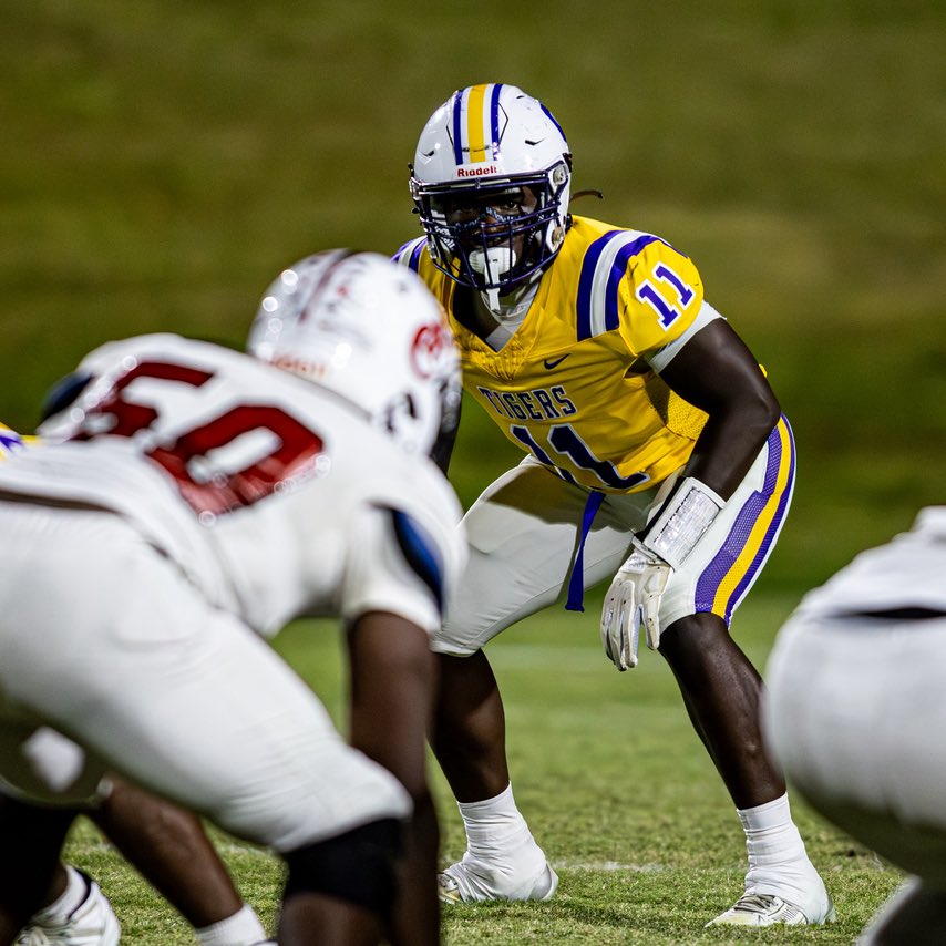 William Geddis tweet media