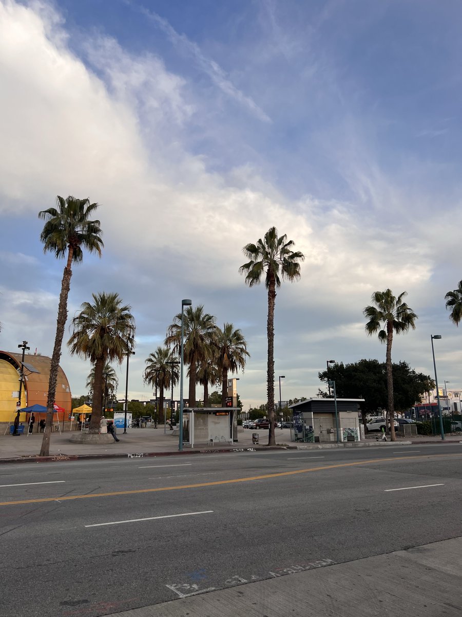 鈴木実優　Miyu Suzuki tweet media