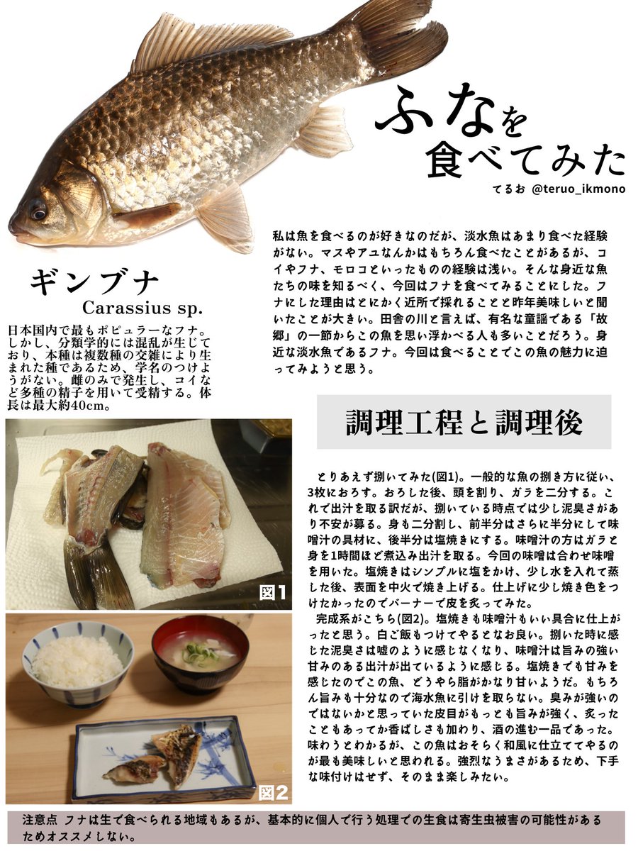 バナナさん⭐︎プロフ見てね♩様 なのじゃ！」でおなじみ。王様のキャラクター秘話｜そ〜だったんだ!?甘