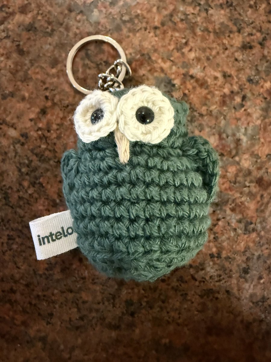 AI_Intelo's tweet photo. Who needs a labubu when you have an intelo owl 🦉 https://t.co/GCuUmPpzv8