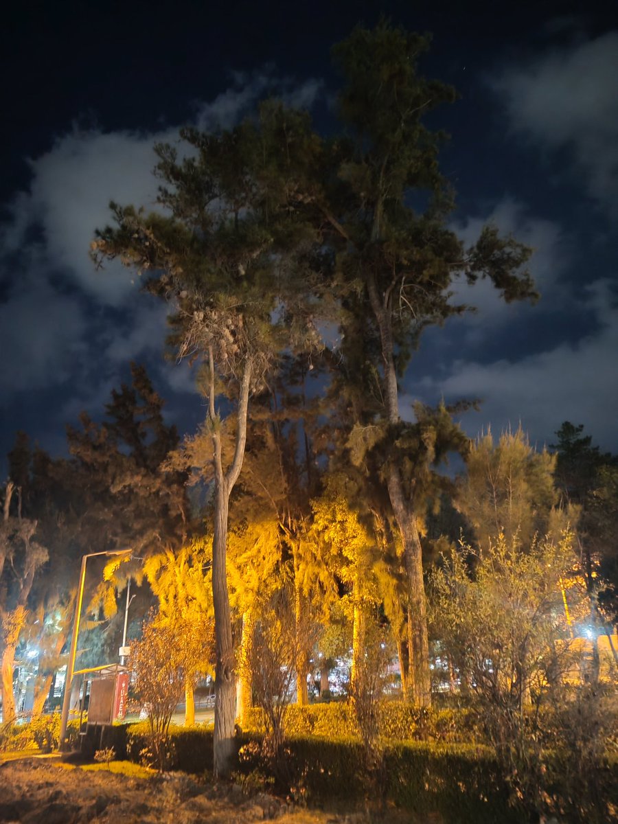 Es un punto de encuentro histórico para estudiantes de medicina, donde la académia y el sentido de pertenencia es muy fuerte

#RamirezUlloaMedicina