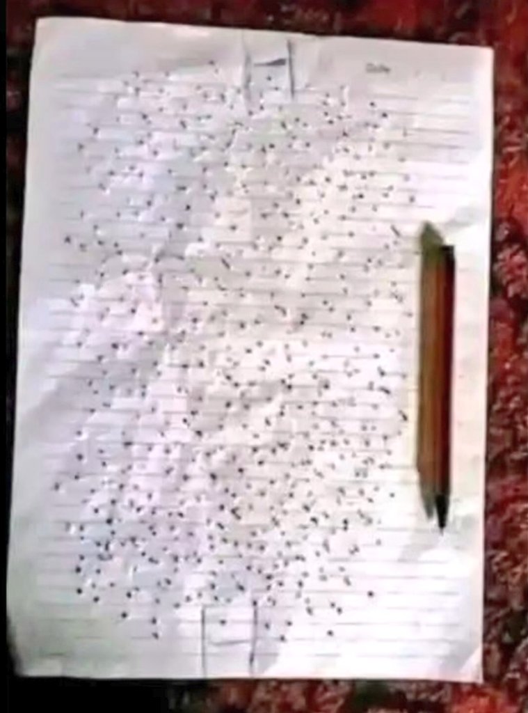 #عاشق_الماضي tweet media