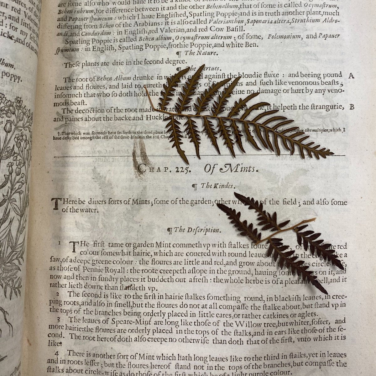 Archives and Special Collections tweet media