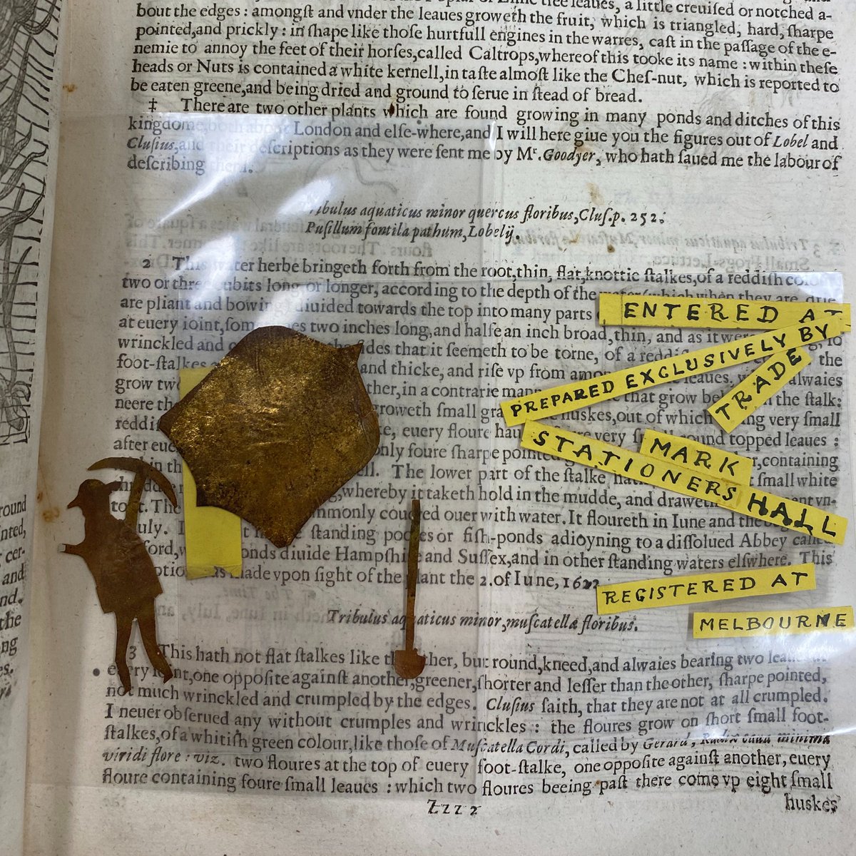 Archives and Special Collections tweet media