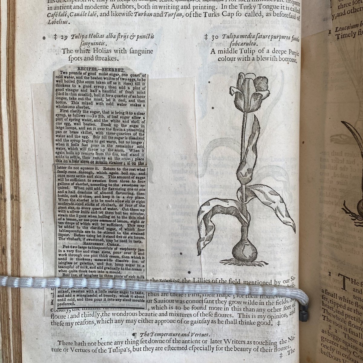 Archives and Special Collections tweet media