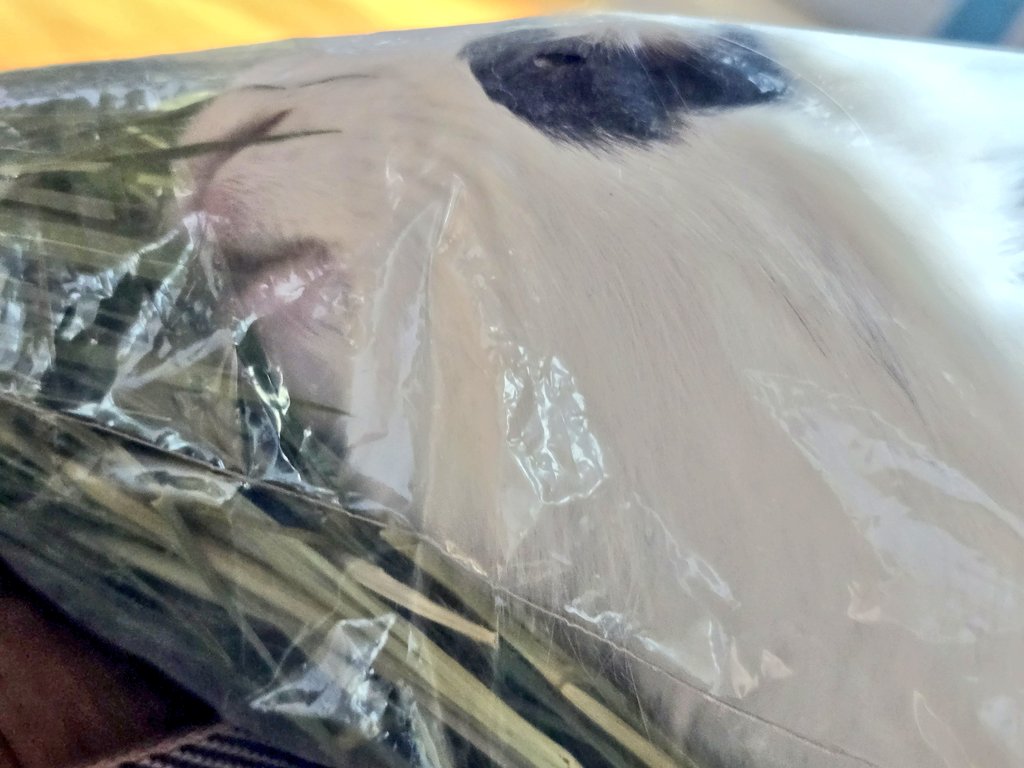 본토가 스스로 들어간 것입니다
휴먼은 강요하지 않았습니다