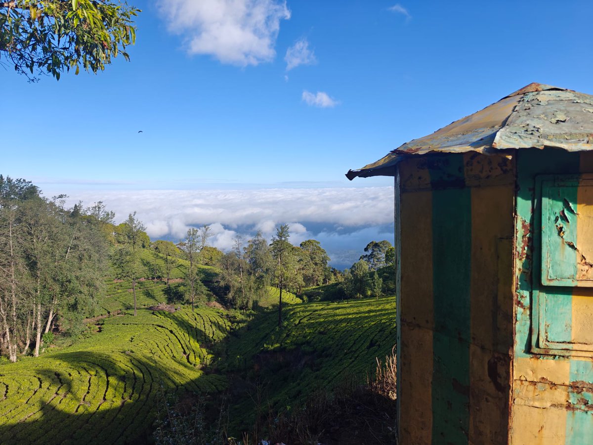 pranshu_sood_'s tweet photo. First trip of the year, Coonoor. https://t.co/otQ7QOt6wB