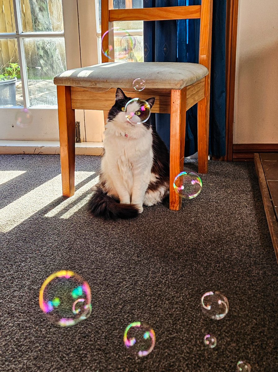 nat ✨️ big nattys ✨️ tweet media