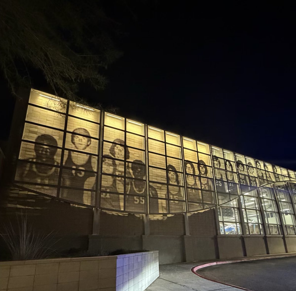 ᖇOᗷ ᖇOᗷᒪEᗪO tweet media