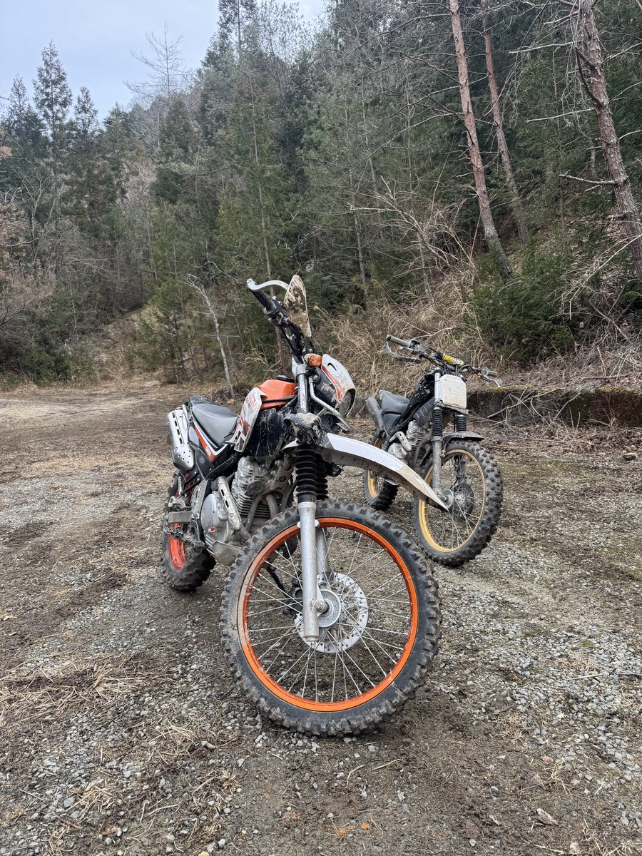 hamashingo (@shingo_zx10r) / Posts / X